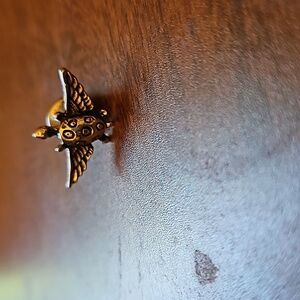 Winged Tortoise  pin.